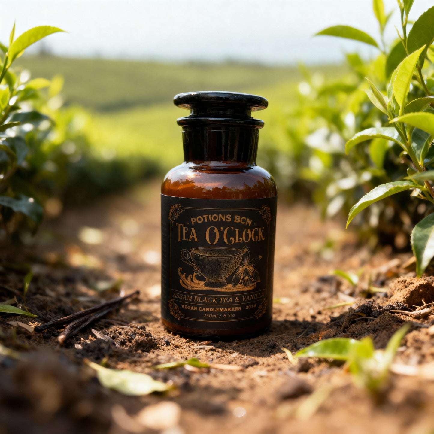 Tea O'Clock - Té Negro + Vainilla