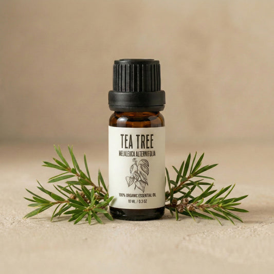 Aceite Esencial de Árbol del Té Ecológico